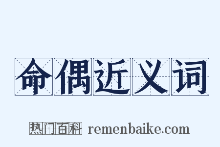命偶近义词是什么意思的图片